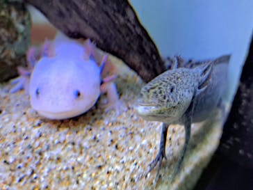 サンシャイン水族館に投稿された画像（2023/11/14）