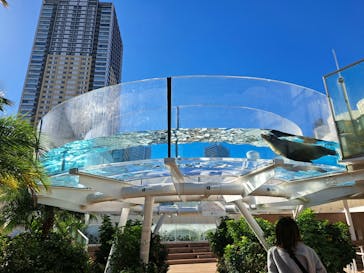 サンシャイン水族館に投稿された画像（2023/11/14）