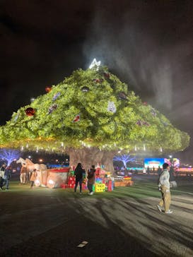 東京メガイルミに投稿された画像（2023/11/14）