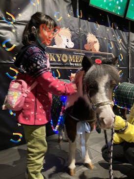 東京メガイルミに投稿された画像（2023/11/14）