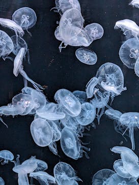 AOAO SAPPOROに投稿された画像（2023/11/14）