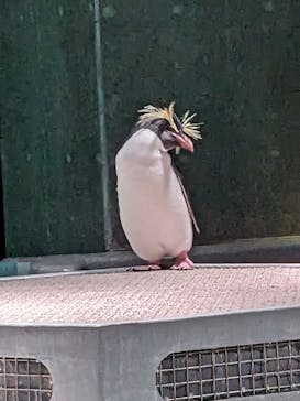 AOAO SAPPOROに投稿された画像（2023/11/14）