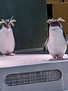 AOAO SAPPOROに投稿された画像（2023/11/14）