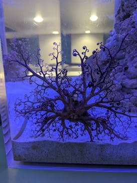 AOAO SAPPOROに投稿された画像（2023/11/14）