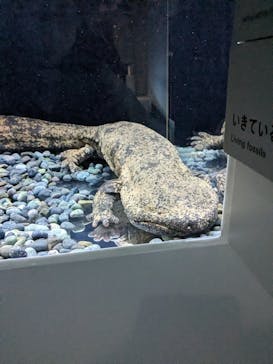 AOAO SAPPOROに投稿された画像（2023/11/14）