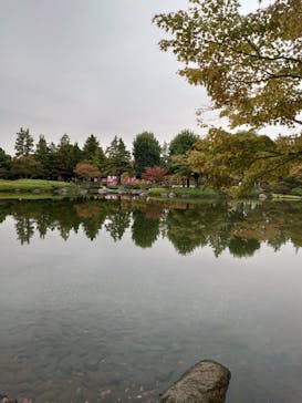 国営昭和記念公園 秋の夜散歩に投稿された画像（2023/11/14）