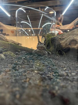 京都水族館に投稿された画像（2023/11/14）