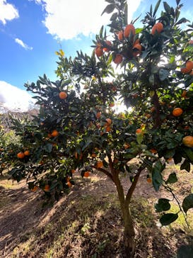 農業公園信貴山のどか村に投稿された画像（2023/11/14）