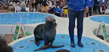 サンシャイン水族館に投稿された画像（2023/11/14）