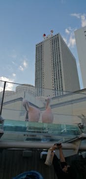 サンシャイン水族館に投稿された画像（2023/11/14）