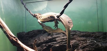 サンシャイン水族館に投稿された画像（2023/11/14）