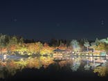 国営昭和記念公園 秋の夜散歩に投稿された画像（2023/11/14）