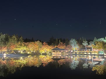 国営昭和記念公園 秋の夜散歩に投稿された画像（2023/11/14）