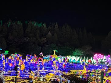 伊豆ぐらんぱる公園に投稿された画像（2023/11/14）