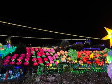 伊豆ぐらんぱる公園に投稿された画像（2023/11/14）