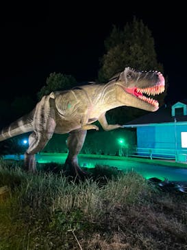 伊豆ぐらんぱる公園に投稿された画像（2023/11/14）