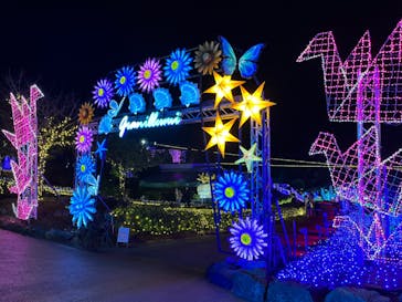 伊豆ぐらんぱる公園に投稿された画像（2023/11/14）