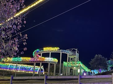 伊豆ぐらんぱる公園に投稿された画像（2023/11/14）