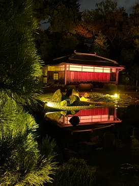 NAKED meets 二条城 2025 観月に投稿された画像（2023/11/14）