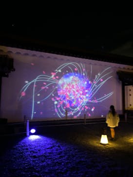 NAKED meets 二条城 2025 観月に投稿された画像（2023/11/14）