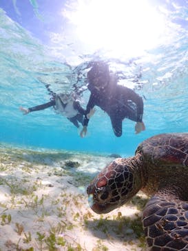 宮古島マリン GB QUESTに投稿された画像（2023/11/14）