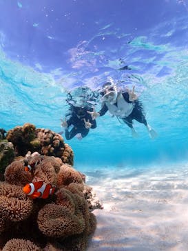 宮古島マリン GB QUESTに投稿された画像（2023/11/14）