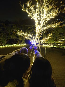 いばらきフラワーパークに投稿された画像（2023/11/14）