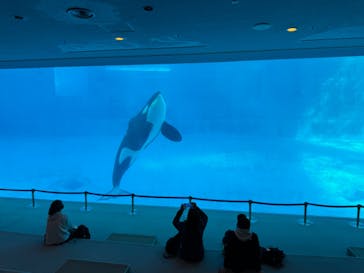 名古屋港水族館に投稿された画像（2023/11/14）