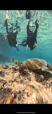 宮古島 ADVENTURE PiPi（ミヤコジマ アドベンチャー ピピ）に投稿された画像（2023/11/14）