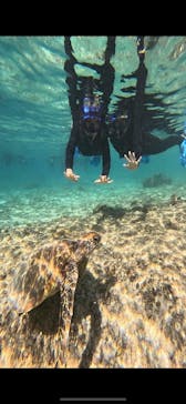 宮古島 ADVENTURE PiPi（ミヤコジマ アドベンチャー ピピ）に投稿された画像（2023/11/14）