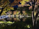 国営昭和記念公園 秋の夜散歩に投稿された画像（2023/11/14）