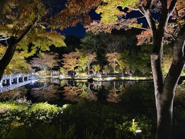 国営昭和記念公園 秋の夜散歩に投稿された画像（2023/11/14）