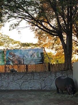 東武動物公園に投稿された画像（2023/11/14）