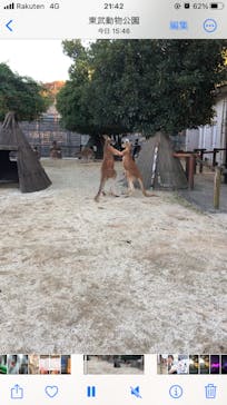 東武動物公園に投稿された画像（2023/11/14）