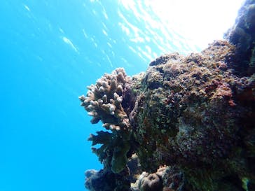 石垣島 ADVENTURE PiPi（イシガキジマアドベンチャーピピ）に投稿された画像（2023/11/14）