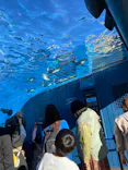 サンシャイン水族館に投稿された画像（2023/11/14）