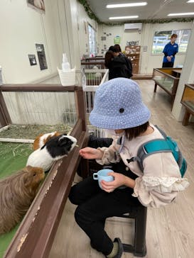 成田ゆめ牧場に投稿された画像（2023/11/14）