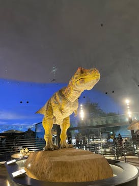 福井県立恐竜博物館に投稿された画像（2023/11/14）