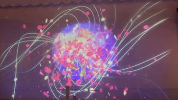 NAKED meets 二条城 2025 観月に投稿された画像（2023/11/14）