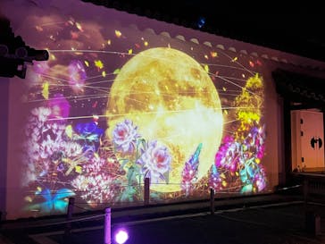 NAKED meets 二条城 2025 観月に投稿された画像（2023/11/14）