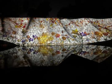 NAKED meets 二条城 2025 観月に投稿された画像（2023/11/14）