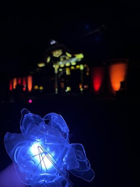 NAKED meets 二条城 2025 観月に投稿された画像（2023/11/14）