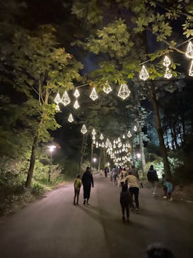 ムーミンバレーパークに投稿された画像（2023/11/14）