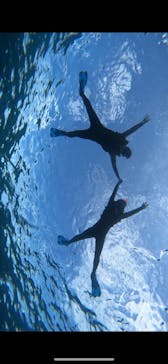 宮古島 ADVENTURE PiPi（ミヤコジマ アドベンチャー ピピ）に投稿された画像（2023/11/14）