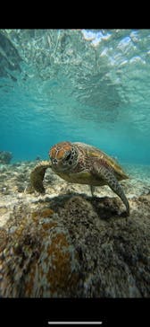 宮古島 ADVENTURE PiPi（ミヤコジマ アドベンチャー ピピ）に投稿された画像（2023/11/14）