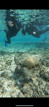 宮古島 ADVENTURE PiPi（ミヤコジマ アドベンチャー ピピ）に投稿された画像（2023/11/14）