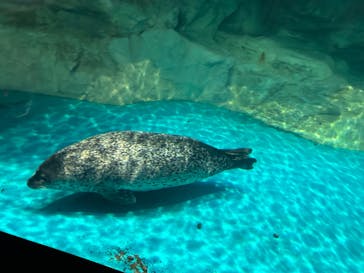 アクアワールド茨城県大洗水族館に投稿された画像（2023/11/14）