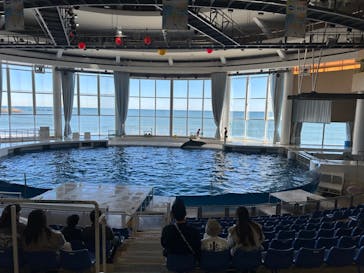 アクアワールド茨城県大洗水族館に投稿された画像（2023/11/14）