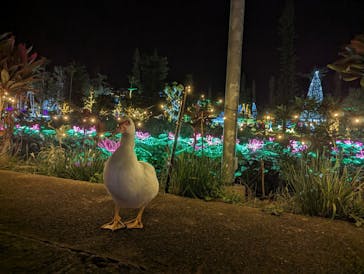 美らヤシパークオキナワ・東南植物楽園に投稿された画像（2023/11/14）