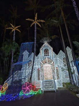 美らヤシパークオキナワ・東南植物楽園に投稿された画像（2023/11/14）